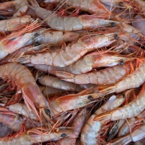 Prawns